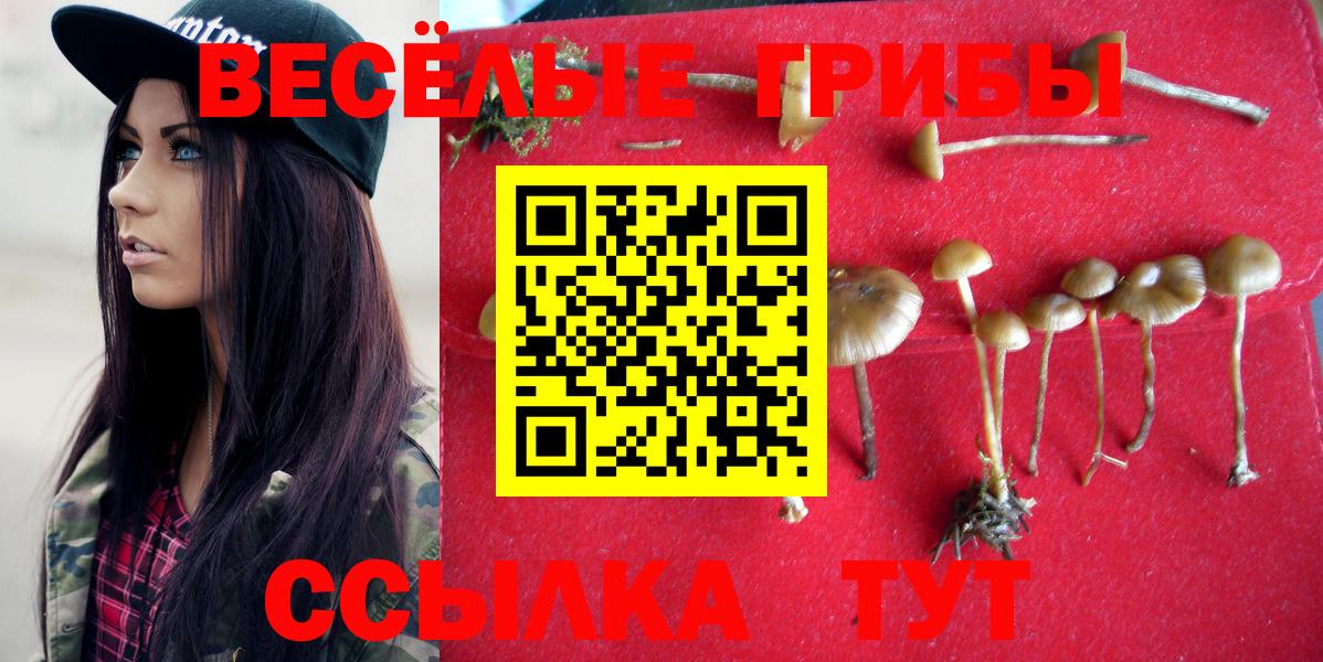 даркнет сайт  Вход с VPN  Тихвин  Галлюциногенные грибы Psilocybe  Псилоцибиновые грибы мухоморы 